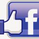 Facebook like logo