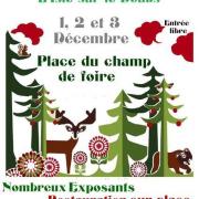 Marche noel l isle sur le doubs l 22311266